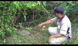 Pelaku Dugaan Asusila Mahasiswi di Gowa Masih Berkeliaran, Handphone dan Uang Korban Raib