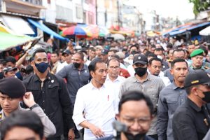 Blusukan di Makassar, Jokowi Didampingi Danny Pomanto Puji Stabilitas Harga Pangan