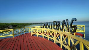 Punya Daya Tarik, Kota Makassar Punya Ekowisata Mangrove Lantebung