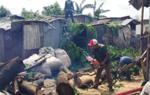 Tindaklanjuti Instruksi Camat, Satgas Kecamatan Panakkukang Evakuasi Pohon Tumbang di Jalan Adhyaksa dan Taman Pakui