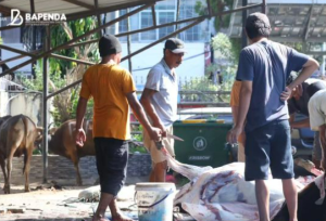 Momentum IdulAdha 1445 H, Bapenda Kota Makassar Gelar Pemotongan Hewan Kurban