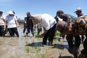 Hadiri Gerakan Menanam Padi, Wali Kota Munafri Tekankan Dukungan Swasembada Pangan