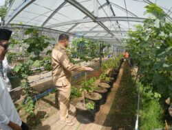 Wali Kota Makassar Launching Gerakan Urban Farming di Bukit Baruga