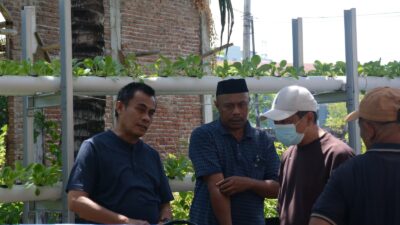 Tanjung Merdeka Jadi Role Model Urban Farming 