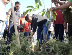 Gerakan Hijau GPIB, Munafri Ajak Warga Hijaukan Kota, Terapkan Pengelolaan Sampah Terintegrasi