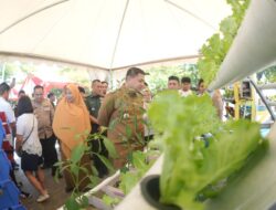 Urban Farming Jadi Strategi Kota Makassar Wujudkan Kota Hijau dan Mandiri Pangan