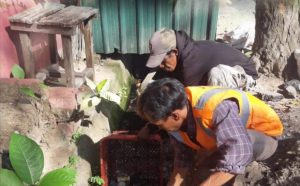 Camat Mariso Kerahkan Satgas Bersihkan Saluran Drainase di Bunga Eja dan Hati Mulia