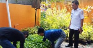 Terima Bibit Cabe Dari Pemkot Makassar, Camat Mariso: Sangat Bermanfaat