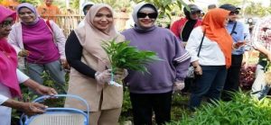 Camat Tamalate Sambut Kunjugan Ketua TP PKK Provinsi Sulsel serta Ketua TP PKK Kota Makassar
