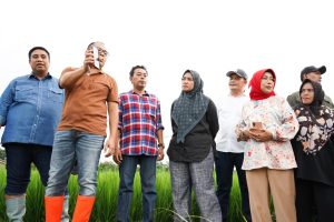 Zulhaelsi Zubir Dampingi Wali Kota Makassar Tinjau Akses Jalan Pembangunan Stadion