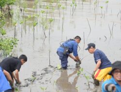 Wali Kota Munafri Tekankan Manfaat Mangrove untuk Lingkungan dan Ekonomi
