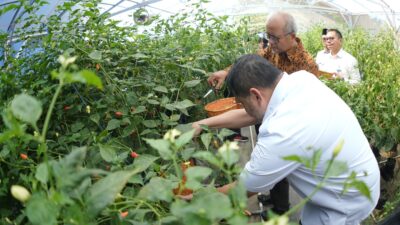 Pemkot Makassar Hadirkan Ketahanan Pangan dan Kemandirian Ekonomi Lewat Urban Farming