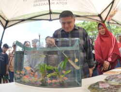 Makassar Genjot Urban Farming, 458 Kelompok Tani Aktif Bergerak