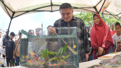 Makassar Genjot Urban Farming, 458 Kelompok Tani Aktif Bergerak