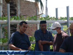 Tanjung Merdeka Jadi Role Model Urban Farming 