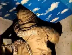 Dinas Damkarmat Makassar Evakuasi Sarang Tawon di Rumah Warga di Empat Lokasi