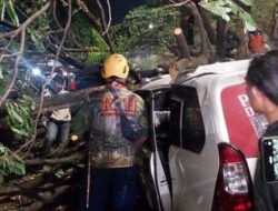 Respons Cepat Dinas Damkarmat Makassar, Ikut Evakuasi Mobil Tertimpa Pohon Tumbang