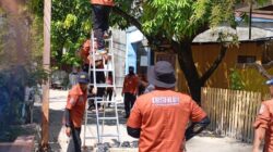 Munafri–Aliyah Hadirkan Lampu Tenaga Surya di Kepulauan, Armada Laut Segera Terwujud 