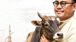 Maknai Idul Adha, Dirum Perumda Parkir Berkurban Satu Sapi