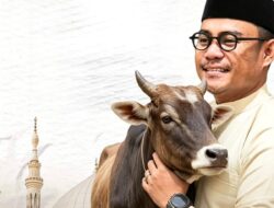 Maknai Idul Adha, Dirum Perumda Parkir Berkurban Satu Sapi