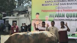 Bersyukur Gabung Koni, Orado Sulsel Kurban Sapi di Polrestabes Makassar