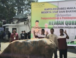Bersyukur Gabung Koni, Orado Sulsel Kurban Sapi di Polrestabes Makassar