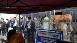 Pemkot Makassar Distribusikan 7.261 Sapi dan 402 Kambing Kurban, Appi: Disalurkan Harus Jujur dan Adil