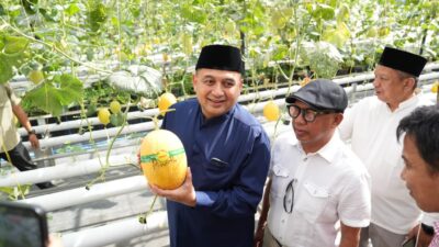 Panen Melon di Bukit Baruga, Munafri Ingin Urban Farming Masjid Bin Baz jadi Model Ketahanan Pangan Perkotaan